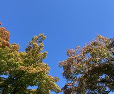 話し相手になります イメージ1