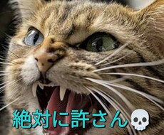 絶対に許せない！！スッキリするまでお話聴きます イメージ1