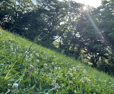 5分でもOK！元CAがほっこりタイムお届けします イメージ1