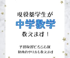 現役薬学生が中学数学を教えます イメージ1
