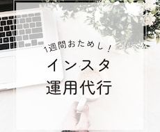 お試し！忙しい方の代わりにインスタ運用代行します こちらは1週間のお試し価格になります