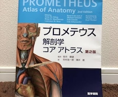 医学部受験の悩みを解決します イメージ1
