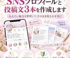 SNSプロフィールと投稿文３本を作成します 伝えたい魅力を整理して、そのまま使える文章に