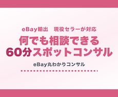 eBay60分スポットコンサル｜何でも対応します 独学のサポートに。時間内いくつでも質問可能です！