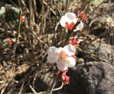 いつも頑張るあなたの心に寄り添います イメージ1