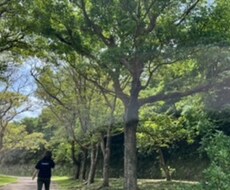 職場の悩み子育ての悩みなどその他相談致します イメージ1