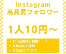 インスタフォロワー増やします イメージ1