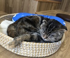 ともかく全肯定します イメージ1