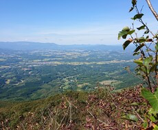 ひたすらお話ききます イメージ1