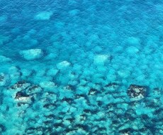 その場の空気感をお届けします
