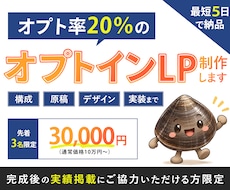 オプトLPを最短５日で納品します イメージ1