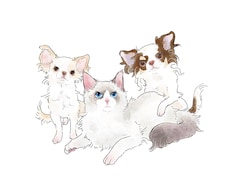 水彩風やポップにペットの似顔絵を描きます 柔らかな線画に水彩をのせたようなタッチです