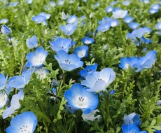愚痴お悩み何でもお聞きします イメージ1