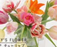 心理士&介護福祉士があなたのお悩みをお聞きします イメージ1