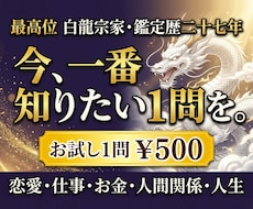 白龍霊視｜恋愛・仕事・人生 あなたの1問を視ます イメージ1