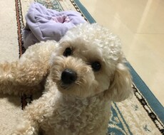 現役の保育士がお答えします。子どものことについて何でもどうぞ‼︎ イメージ1