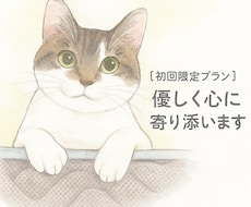 初回お試しプラン◾︎優しく心に寄り添います イメージ1