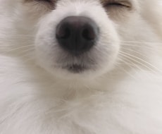 一人で抱え込まないで。待ってます イメージ1