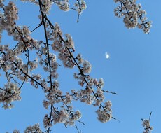 お相手様の好きなタイプを視させていただきます 気になるあの人の好みに近づきたい！そんな方におすすめです！