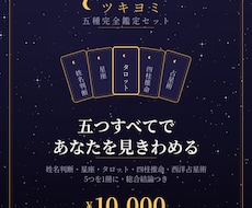 5種セットで1冊に 完全鑑定書を作ります イメージ1