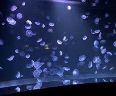 タロット占いで大切な人との恋愛占います イメージ1