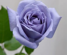 心の悩み解決致します イメージ1