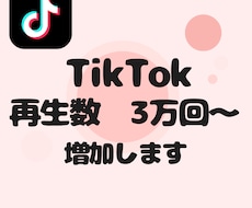 TikTokの再生数3万回〜増加いたします 【即対応】あなたのアカウント信頼度高めませんか？？