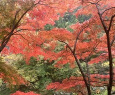 貴方のお話相手になります イメージ1