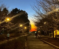 対人関係や愚痴など学生ならではの相談を致します イメージ1