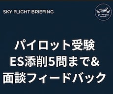 パイロット受験ES添削とフィードバック面談します イメージ1