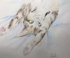 貴方のペットの似顔絵を繊細に描き郵送致します イメージ1