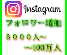 Instagramフォロワー増加を扶翼します イメージ1