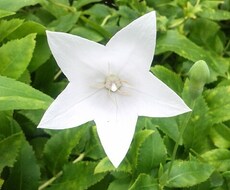 あなたのお話、お聞きします 悩みごと・心配ごと・迷っていることなど