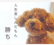2人で何でもお話し聞きます イメージ1