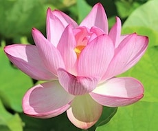 愚痴でも悩みでも。ゆるい関西弁で喋り＆聞きます 知らない人間だからこそ話せる事もあると思う。