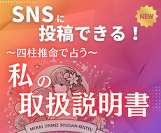 SNSに投稿できる！「あなたのトリセツ」作成します 各種SNS対応！ワンコインで気軽に楽しめます！