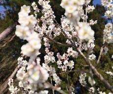 なんでも愚痴ききます イメージ1