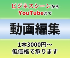 格安対応！要望通りのYouTube編集を承ります ビジネス利用からゆっくりまで幅広く対応可能！