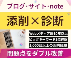 記事添削＋ブログ診断⭐︎アフィリエイト改善します 文章×アフィリエイト×SEO×収益化の問題点をダブル改善