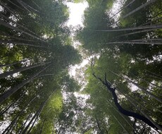 20代女性があなたの恋愛にアドバイスします イメージ1