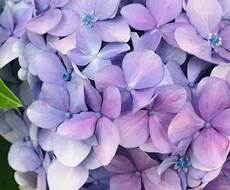 お話聞きます イメージ1