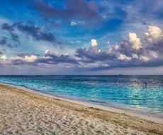 １か月毎日パック☆エネルギー調整＆ヒーリングします ☆本来のエネルギーに満たされ、楽に生きませんか☆