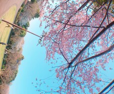 20代前半女性の気持ち、教えます イメージ1