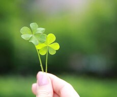 あなたの悩みや愚痴、なんでも聞きます イメージ1