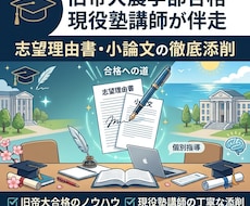 理系学部 総合型選抜や推薦入試の小論文添削します イメージ1