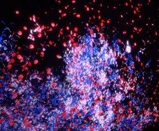 あなたの心の支えになります イメージ1