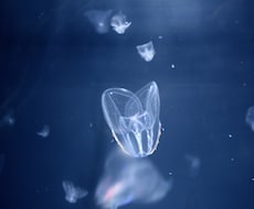 心が軽くなり希望が持てるようにお話します イメージ1