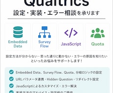 Qualtricsの設定・実装・エラー相談承ります Qualtricsに関するご相談に対応いたします