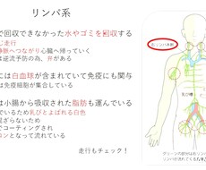 看護師国家試験の解き方理解させます イメージ1
