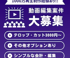 フルテロップ・カット30分3000円で承ります イメージ1